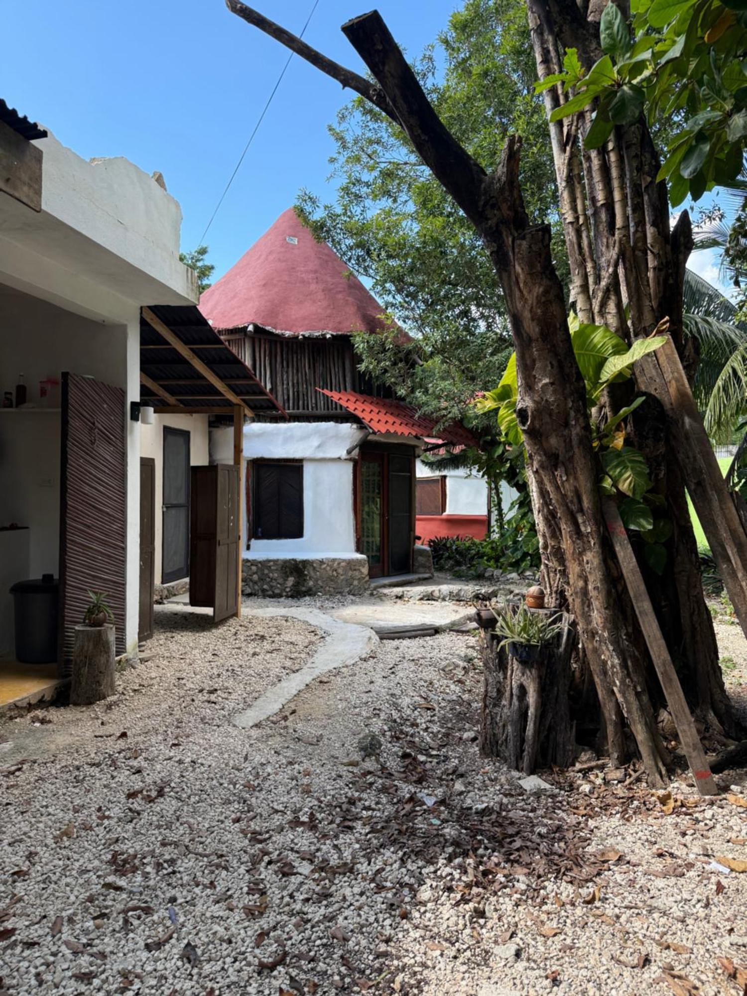 Tree House Maison d'hôtes Tulum