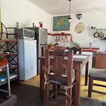 Tree House Tulum