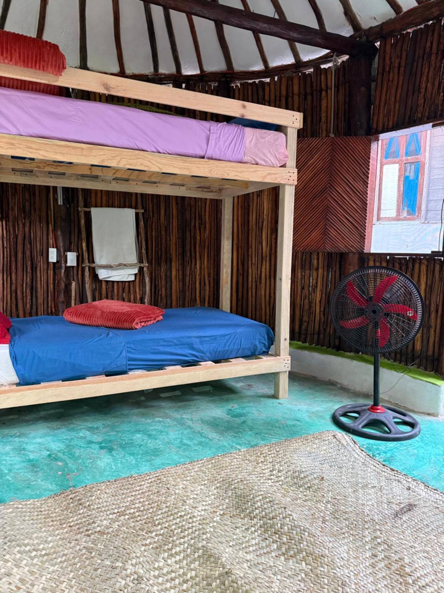 Tree House Guest house *